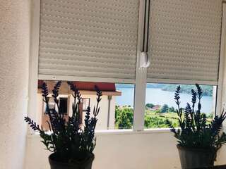 Апартаменты Apartman “The View” Плужине Апартаменты с 1 спальней-2